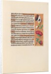 Hours of Queen Isabella the Catholic, Queen of Spain: Fol. 249r, c. 1500 by Master of the First Prayerbook of Maximillian
