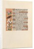 Hours of Queen Isabella the Catholic, Queen of Spain: Fol. 250v, c. 1500 by Master of the First Prayerbook of Maximillian