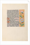 Hours of Queen Isabella the Catholic, Queen of Spain: Fol. 27r, c. 1500 by Master of the First Prayerbook of Maximillian