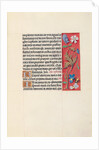 Hours of Queen Isabella the Catholic, Queen of Spain: Fol. 29r, c. 1500 by Master of the First Prayerbook of Maximillian