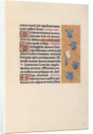 Hours of Queen Isabella the Catholic, Queen of Spain: Fol. 40r, c. 1500 by Master of the First Prayerbook of Maximillian