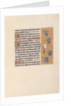 Hours of Queen Isabella the Catholic, Queen of Spain: Fol. 40r, c. 1500 by Master of the First Prayerbook of Maximillian