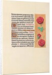 Hours of Queen Isabella the Catholic, Queen of Spain: Fol. 41r, c. 1500 by Master of the First Prayerbook of Maximillian
