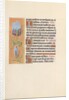 Hours of Queen Isabella the Catholic, Queen of Spain: Fol. 41v, c. 1500 by Master of the First Prayerbook of Maximillian