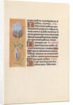 Hours of Queen Isabella the Catholic, Queen of Spain: Fol. 41v, c. 1500 by Master of the First Prayerbook of Maximillian