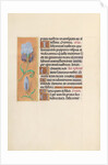 Hours of Queen Isabella the Catholic, Queen of Spain: Fol. 41v, c. 1500 by Master of the First Prayerbook of Maximillian