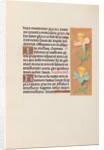 Hours of Queen Isabella the Catholic, Queen of Spain: Fol. 42r, c. 1500 by Master of the First Prayerbook of Maximillian
