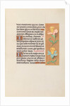 Hours of Queen Isabella the Catholic, Queen of Spain: Fol. 42r, c. 1500 by Master of the First Prayerbook of Maximillian
