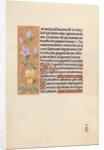 Hours of Queen Isabella the Catholic, Queen of Spain: Fol. 55v, c. 1500 by Master of the First Prayerbook of Maximillian