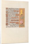 Hours of Queen Isabella the Catholic, Queen of Spain: Fol. 56r, c. 1500 by Master of the First Prayerbook of Maximillian