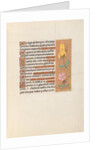 Hours of Queen Isabella the Catholic, Queen of Spain: Fol. 56r, c. 1500 by Master of the First Prayerbook of Maximillian