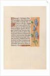 Hours of Queen Isabella the Catholic, Queen of Spain: Fol. 60r, c. 1500 by Master of the First Prayerbook of Maximillian