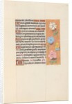 Hours of Queen Isabella the Catholic, Queen of Spain: Fol. 75r, c. 1500 by Master of the First Prayerbook of Maximillian