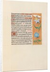 Hours of Queen Isabella the Catholic, Queen of Spain: Fol. 79r, c. 1500 by Master of the First Prayerbook of Maximillian