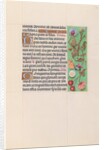 Hours of Queen Isabella the Catholic, Queen of Spain: Fol. 82r, c. 1500 by Master of the First Prayerbook of Maximillian