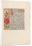 Hours of Queen Isabella the Catholic, Queen of Spain: Fol. 89v, c. 1500 by Master of the First Prayerbook of Maximillian