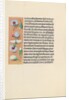 Hours of Queen Isabella the Catholic, Queen of Spain: Fol. 91v, c. 1500 by Master of the First Prayerbook of Maximillian