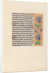 Hours of Queen Isabella the Catholic, Queen of Spain: Fol. 99r, c. 1500 by Master of the First Prayerbook of Maximillian