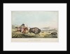 Hunting the Buffalo, 1837 by E. C. Biddle; John T. Bowen; E.C. Biddle