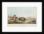 Hunting the Buffalo, 1837 by E. C. Biddle; John T. Bowen; E.C. Biddle