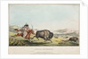 Hunting the Buffalo, 1837 by E. C. Biddle; John T. Bowen; E.C. Biddle
