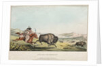 Hunting the Buffalo, 1837 by E. C. Biddle; John T. Bowen; E.C. Biddle