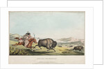 Hunting the Buffalo, 1837 by E. C. Biddle; John T. Bowen; E.C. Biddle