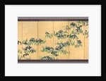 Irises, 1700s by Watanabe Shik?