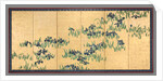 Irises, 1700s by Watanabe Shik?