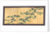 Irises, 1700s by Watanabe Shik?