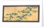 Irises, 1700s by Watanabe Shik?