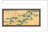 Irises, 1700s by Watanabe Shik?