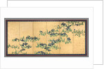 Irises, 1700s by Watanabe Shik?