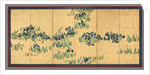 Irises, 1700s by Watanabe Shik?