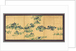 Irises, 1700s by Watanabe Shik?