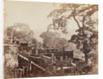 Japanese Temple Graveyard, Shuntoji, Nagasaki, c. 1867 by Felice A. Beato