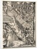 Judith with the Head of Holifernes, 1500s by Unknown