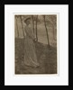 Julia Hall McCune, c. 1897 by Clarence H. White