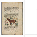 Khar, from a Nuzhat-nama-yi alai…, 1400s by Unknown