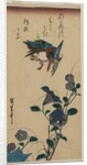 Kingfisher and Chinese Bellflowers, early or mid-1830s by Ando Hiroshige