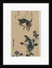 Kingfisher and Chinese Bellflowers, early or mid-1830s by Ando Hiroshige
