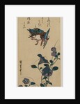 Kingfisher and Chinese Bellflowers, early or mid-1830s by Ando Hiroshige