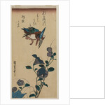 Kingfisher and Chinese Bellflowers, early or mid-1830s by Ando Hiroshige