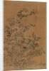 Ko Ssu Panel: Rocks and Chrysanthemums, 1700s - 1800s by Unknown