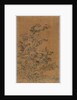 Ko Ssu Panel: Rocks and Chrysanthemums, 1700s - 1800s by Unknown