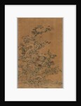 Ko Ssu Panel: Rocks and Chrysanthemums, 1700s - 1800s by Unknown