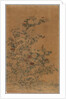 Ko Ssu Panel: Rocks and Chrysanthemums, 1700s - 1800s by Unknown