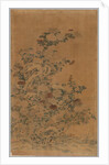 Ko Ssu Panel: Rocks and Chrysanthemums, 1700s - 1800s by Unknown
