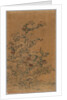 Ko Ssu Panel: Rocks and Chrysanthemums, 1700s - 1800s by Unknown