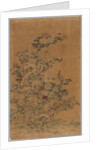 Ko Ssu Panel: Rocks and Chrysanthemums, 1700s - 1800s by Unknown